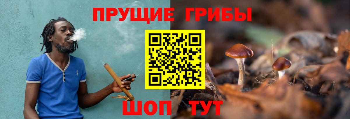 Псилоцибиновые грибы Cubensis  Вход с VPN  Ессентуки  Псилоцибиновые грибы мухоморы 