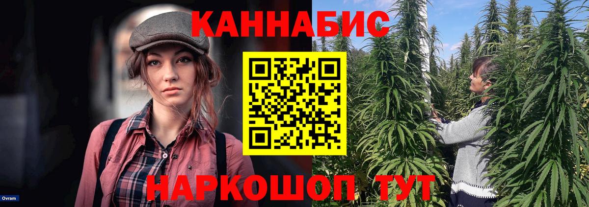 Шишки марихуана Bruce Banner  Бошки марихуана Amnesia  Вход с VPN  Бошки марихуана VHQ  Ессентуки 